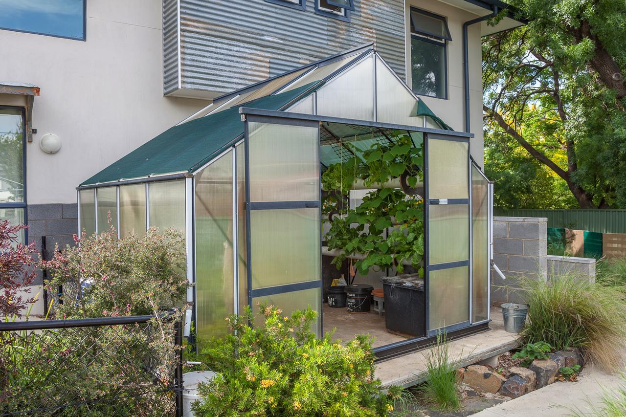 One Of A Kind Apartments Canberra Kültér fotó